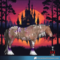 Horse Color:Liver Red Dun Sabino Tobiano  and White Spotted Silver Bay Tobiano Appaloosa 