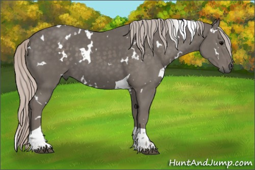 Horse Color:White Spotted Silver Black Tobiano 