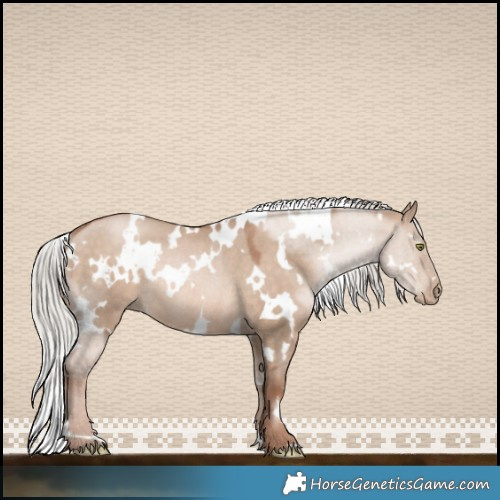 Horse Color:White Spotted Silver Brown Pearl Dun Mushroom Rabicano 