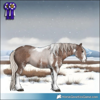 Horse Color:White Spotted Silver Black Tobiano 
