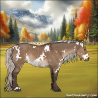 Horse Color:White Spotted Silver Brown Dun 