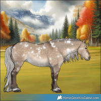 Horse Color:White Spotted Silver Brown Dun 