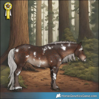 Horse Color:White Spotted Silver Brown 