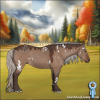 Horse Color:White Spotted Silver Brown Dun Tobiano 