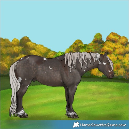 Horse Color:White Spotted Silver Brown Dun Tobiano 