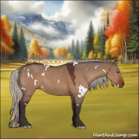 Horse Color:White Spotted Silver Brown Dun