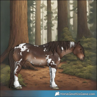 Horse Color:White Spotted Liver Chestnut Tobiano 