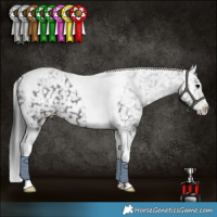 Horse Color:White Spotted Brown Tobiano Appaloosa Rabicano