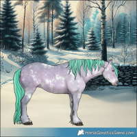 Horse Color:Painted Watercolor White Spotted Silver Brown Chinchilla