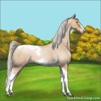 Horse Color:Silver Blue Roan Pearl Tobiano Frame 