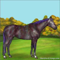 Horse Color:Gray Watercolor Midnight Buckskin Ice