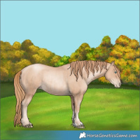 Horse Color:Gold Champagne Pearl Rabicano  and Gold Champagne Pearl Rabicano 