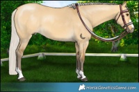 Horse Color:Silver Buckskin Dun 