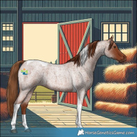 Horse Color:Red Roan Tobiano 
