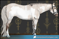 Horse Color:Silver Bay Roan Dun Sabino Frame Rabicano