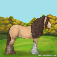 Horse Color:Sable Cream Champagne 