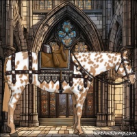 Horse Color:Chestnut Appaloosa