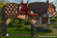 Horse Color:Bay Roan 