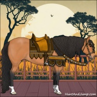 Horse Color:Bay Roan