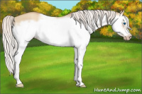 Horse Color:Silver Classic Champagne Dun Splash Frame 