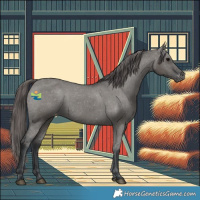 Horse Color:Grullo Varnish 