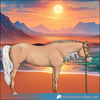 Horse Color:Silver Amber Champagne Frame 