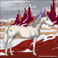 Horse Color:Cremello Splash  and Cremello Splash 