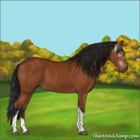 Horse Color:Gray Bay Tobiano Rabicano 