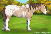 Horse Color:Sable Champagne Splash Tobiano Appaloosa Rabicano
