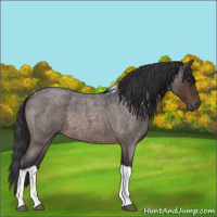 Horse Color:Brown Roan Tobiano Rabicano 