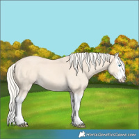 Horse Color:Cremello Splash 