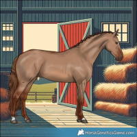 Horse Color:Red Dun 
