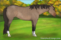 Horse Color:Liver Red Dun Roan 