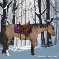 Horse Color:Liver Red Dun 