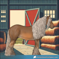 Horse Color:Chocolate Palomino 