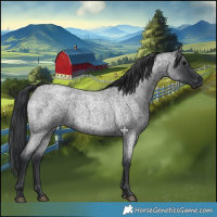 Horse Color:Blue Roan 