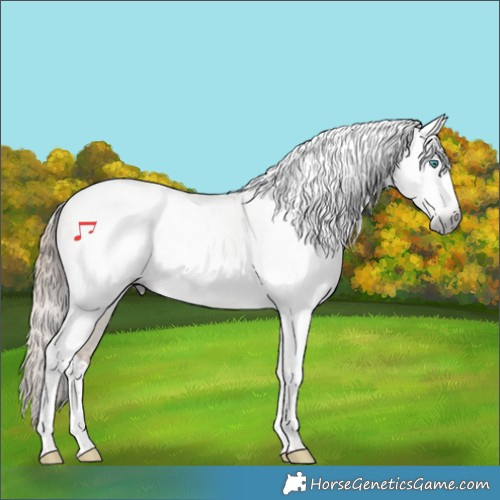 Horse Color:Gray Smoky Grullo Roan Pearl Tobiano Appaloosa 