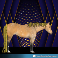 Horse Color:Painted Buckskin 