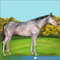 Horse Color:Brown Ice Tobiano 