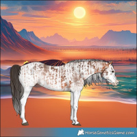 Horse Color:White Spotted Bay Splash  and White Spotted Bay Splash 