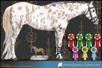 Horse Color:Black Pearl Sabino Near Leopard Rabicano