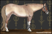 Horse Color:Red Onyx Roan Rabicano 