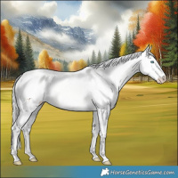 Horse Color:Silver Perlino Dun 
