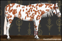 Horse Color:White Spotted Silver Bay Leopard 