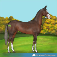Horse Color:Liver Chestnut Mushroom 
