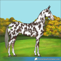 Horse Color:Liver Chestnut Mushroom Near Leopard 