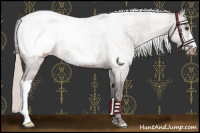 Horse Color:Silver Brown Snowcap