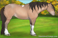 Horse Color:Amber Champagne Tobiano Rabicano 