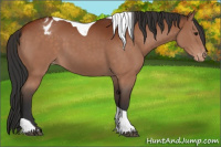 Horse Color:Brown Tobiano Varnish Rabicano 