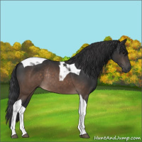 Horse Color:Brown Tobiano Rabicano